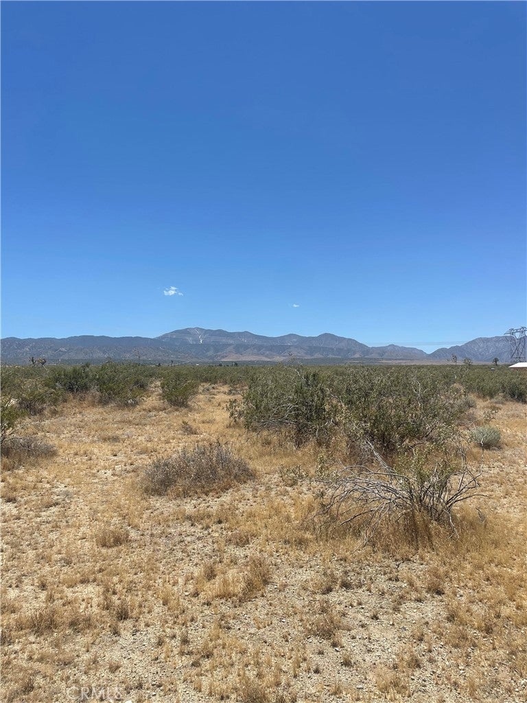 Photo of Listing #SR24133328