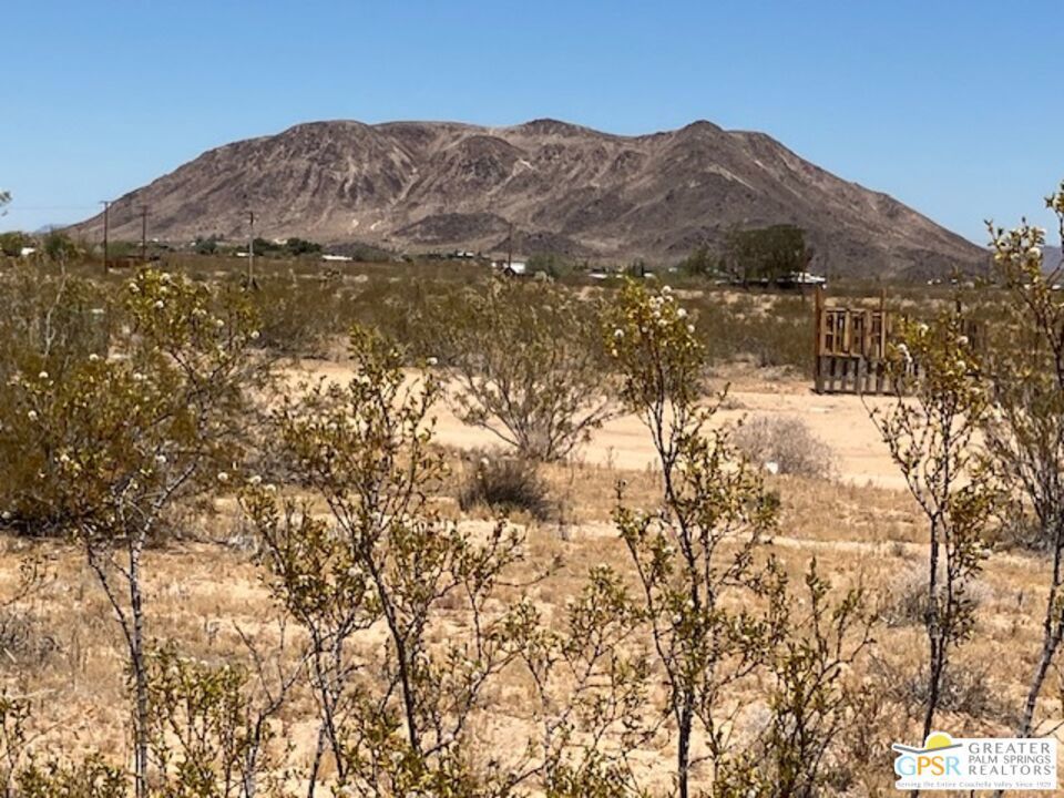 Photo of Listing #24412285