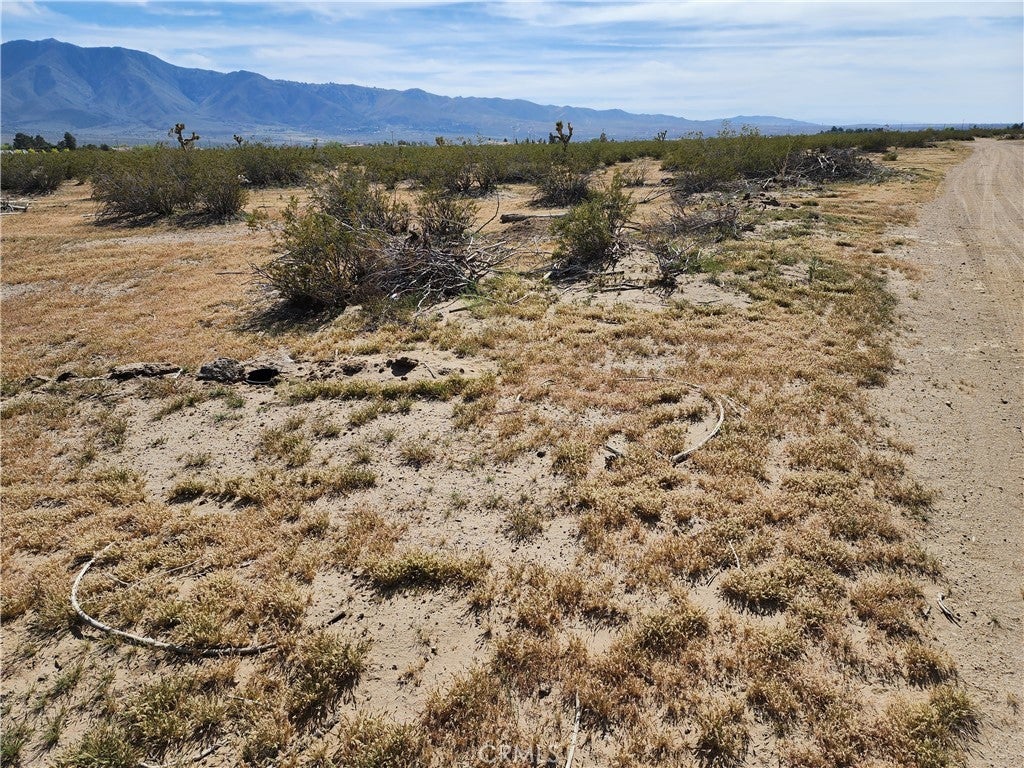 Photo of Listing #OC24145372