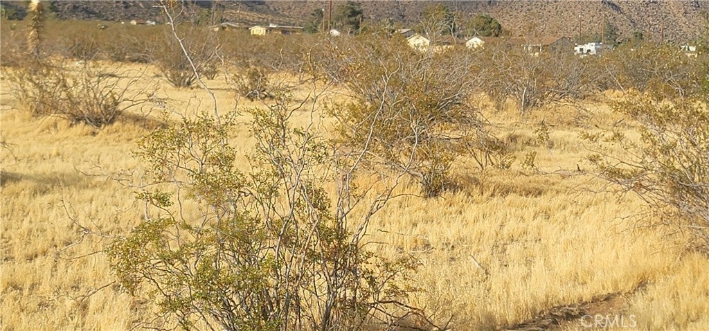 Photo of Listing #OC24144019