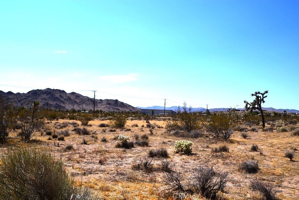 Photo of Listing #JT24153039