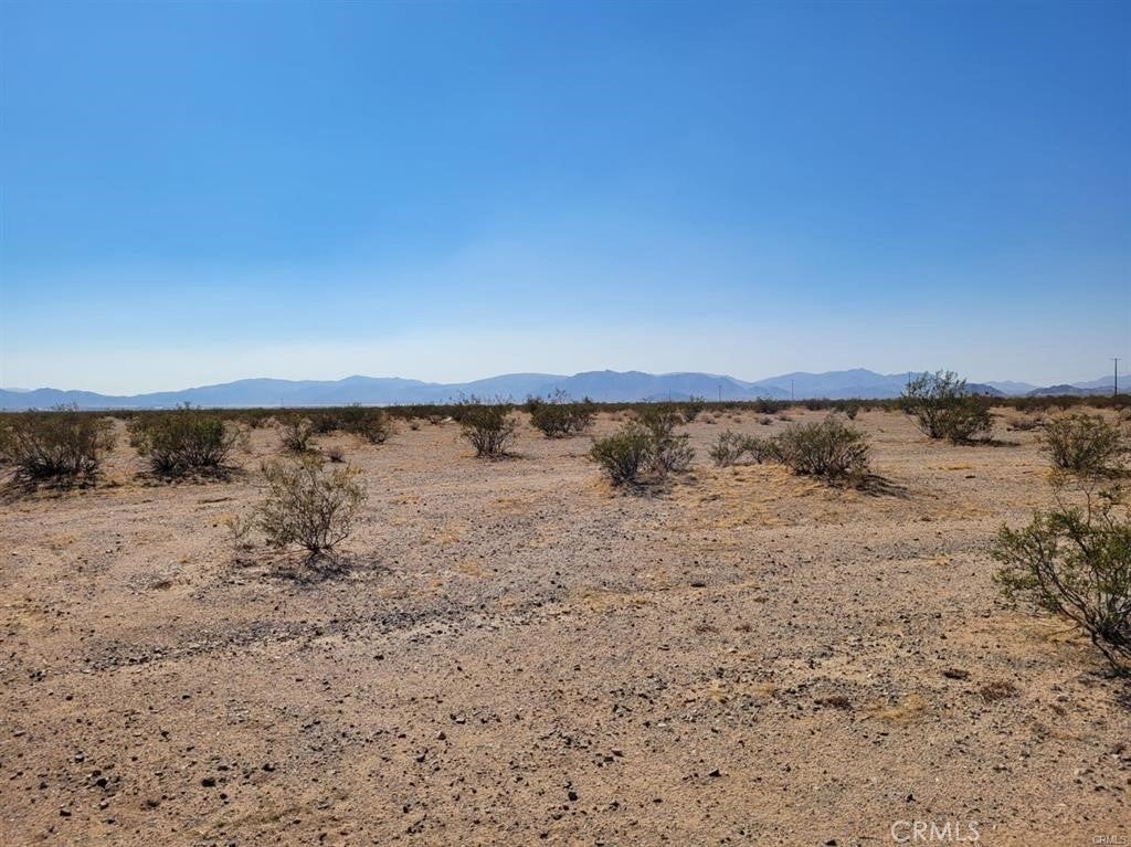 Photo of Listing #OC24155473