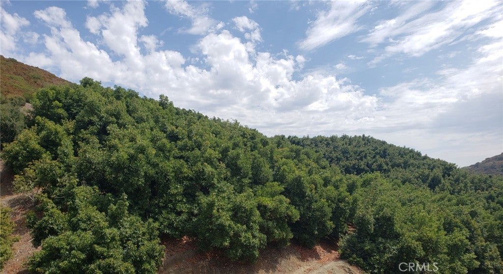 Photo of Listing #SW24170294