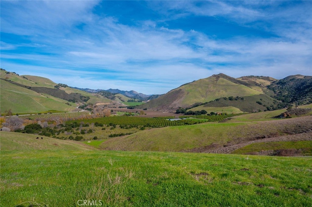 Photo of Listing #PI24190209