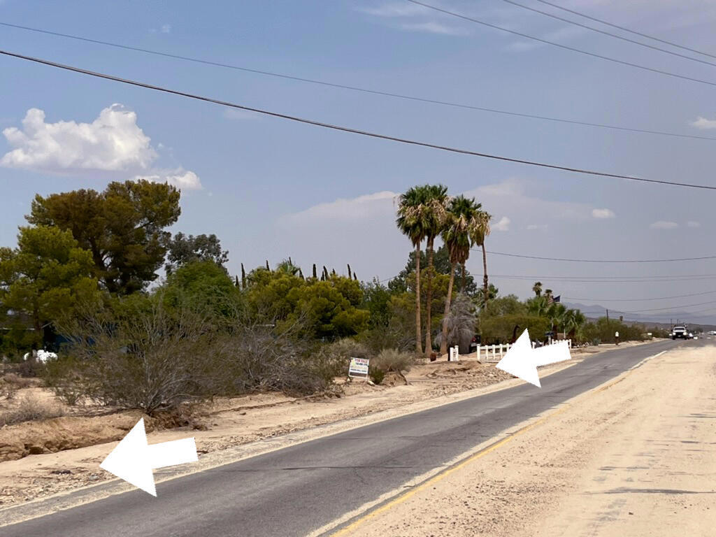 Photo of Listing #219116891PS