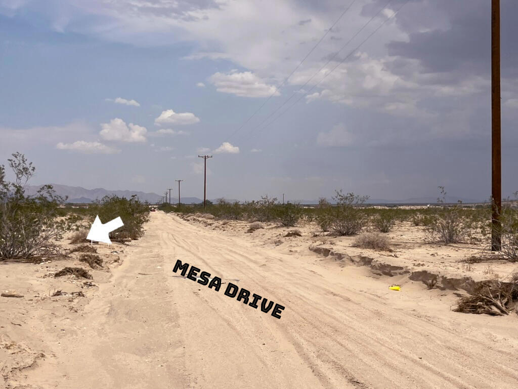 Photo of Listing #219116995PS