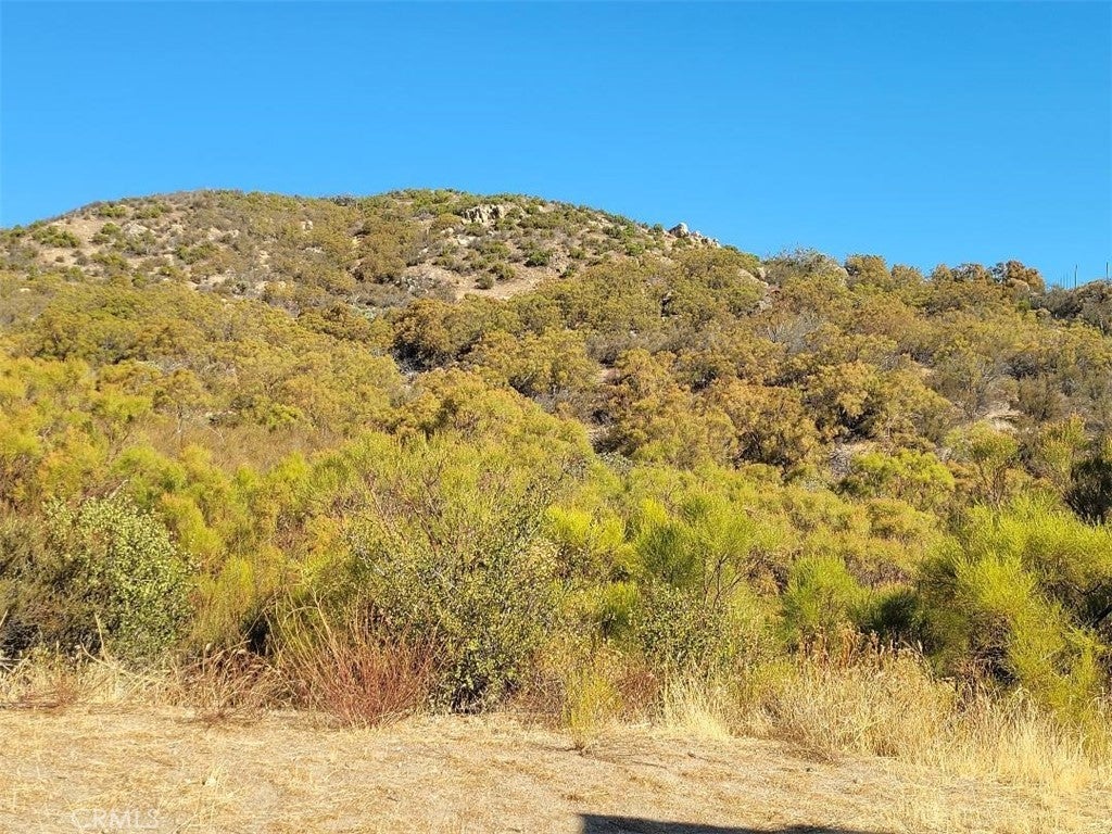 Photo of Listing #SW24200080