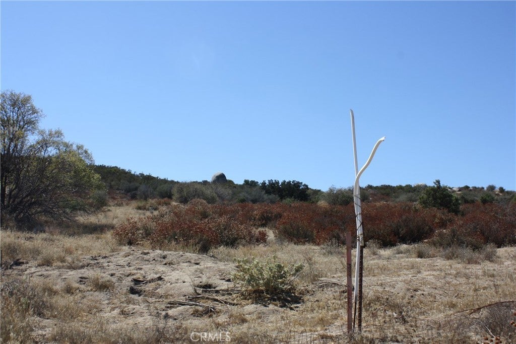 Photo of Listing #SW24208543