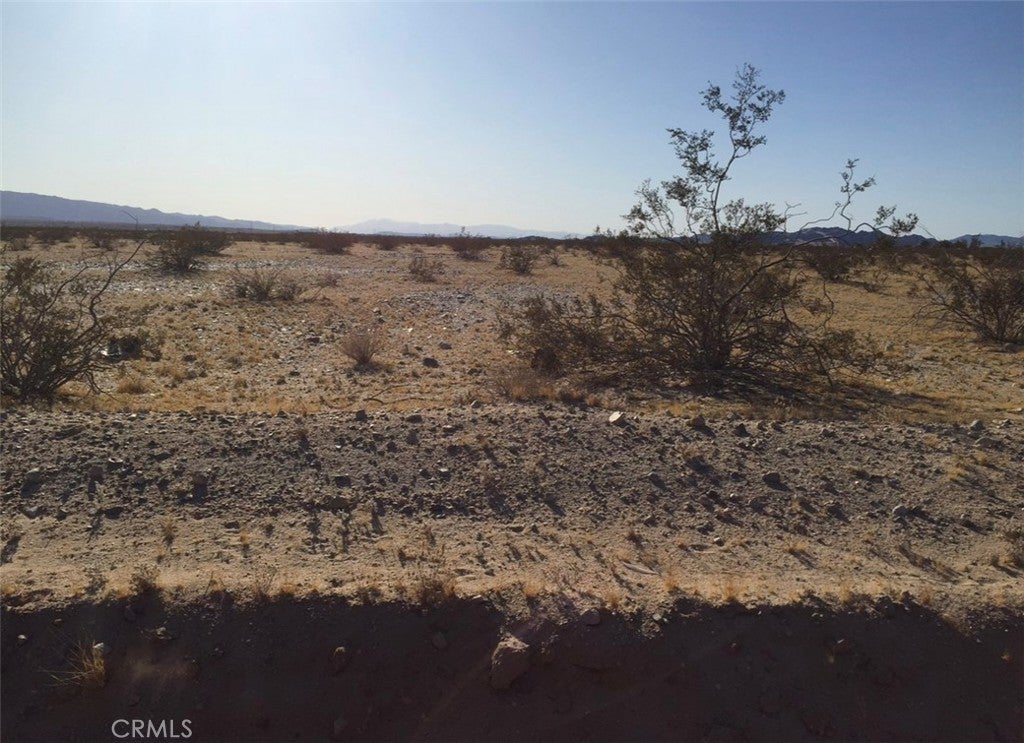 Photo of Listing #JT24221391