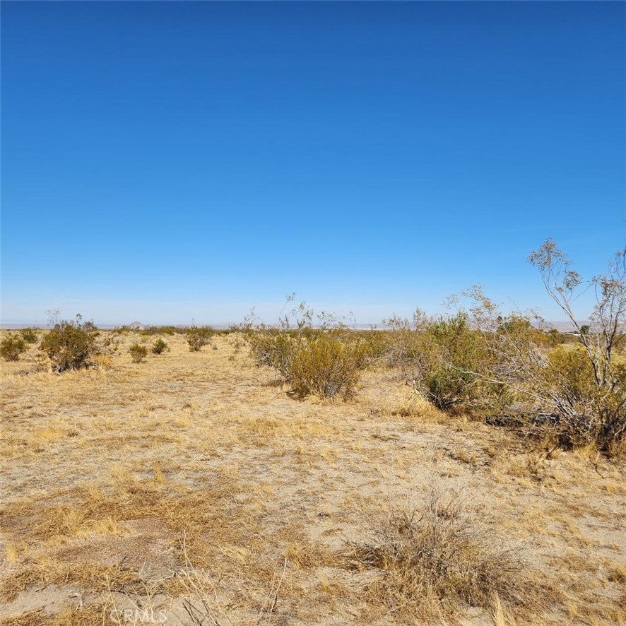 Photo of Listing #IV24221671