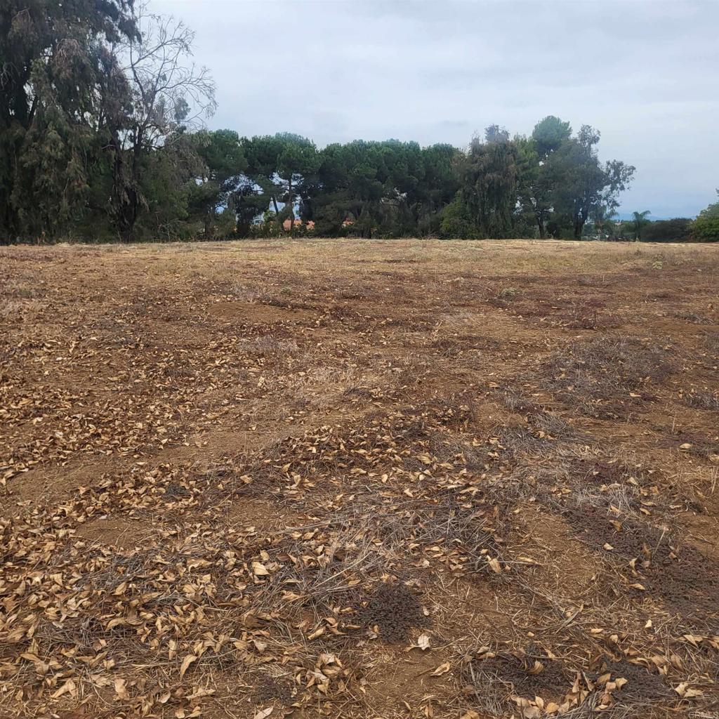 Photo of Listing #NDP2409560