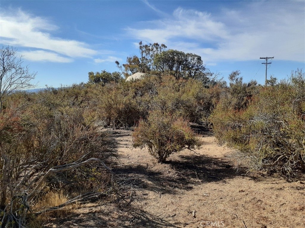 Photo of Listing #SW24223579