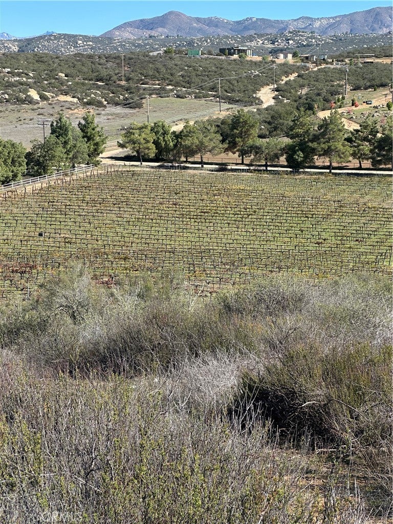 Photo of Listing #SW24234069