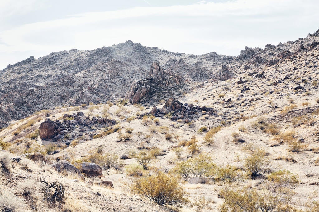 Photo of Listing #219120473DA