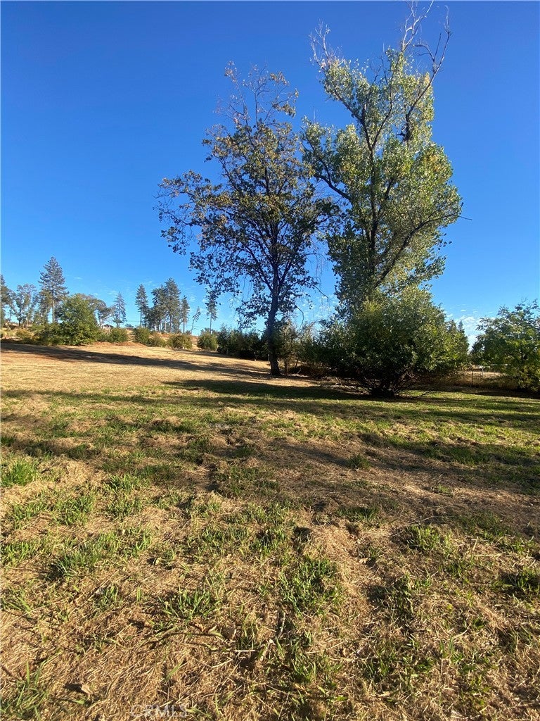 Photo of Listing #SN24240354