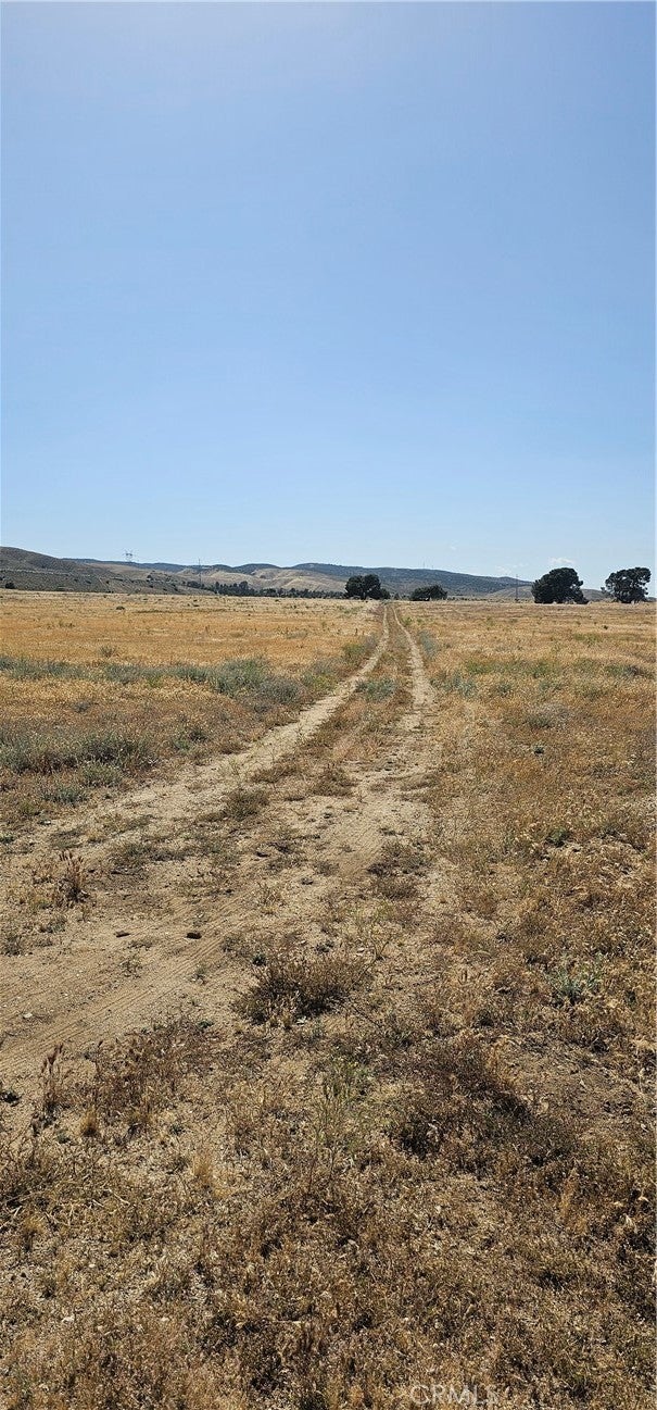 Photo of Listing #SR24243319