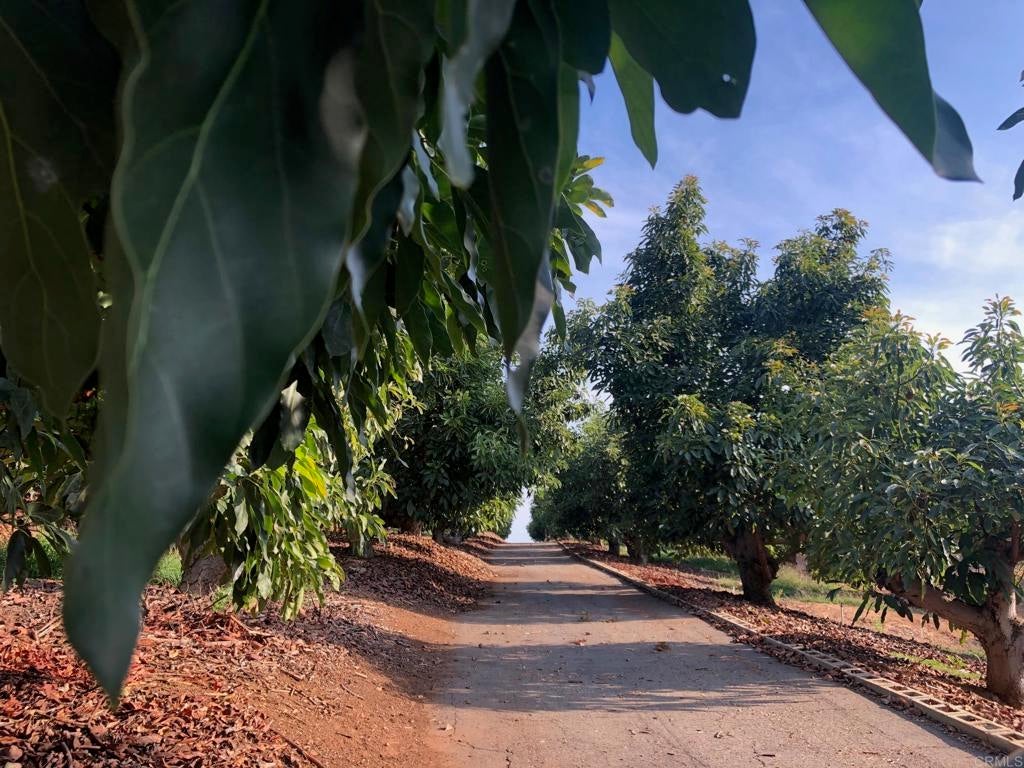 Photo of Listing #NDP2410465