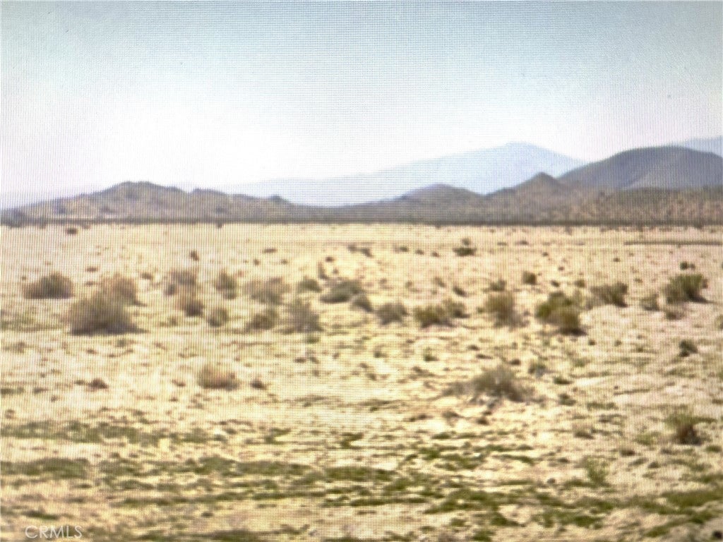 Photo of Listing #IG24254241