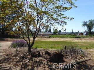 Photo of Listing #PA25002891