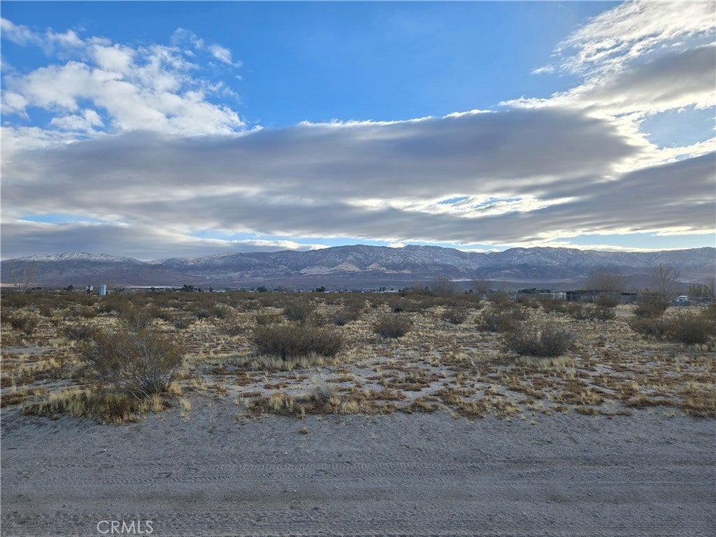 Photo of Listing #HD25004257