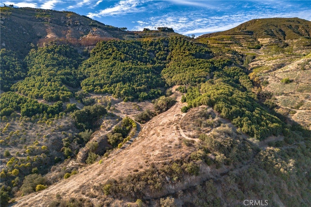 Photo of Listing #SW25003247