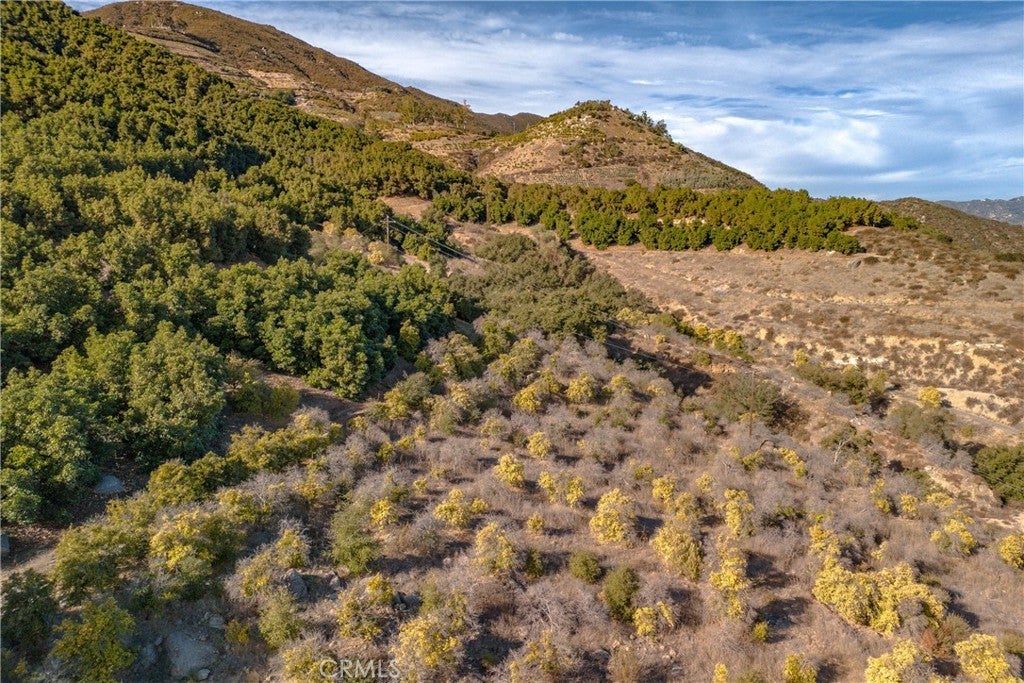 Photo of Listing #SW25003242