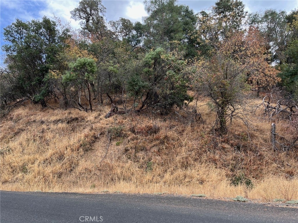 Photo of Listing #LC25008597