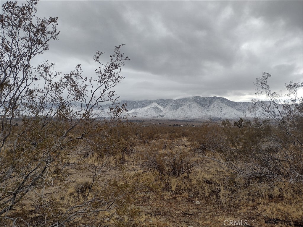 Photo of Listing #HD25009264