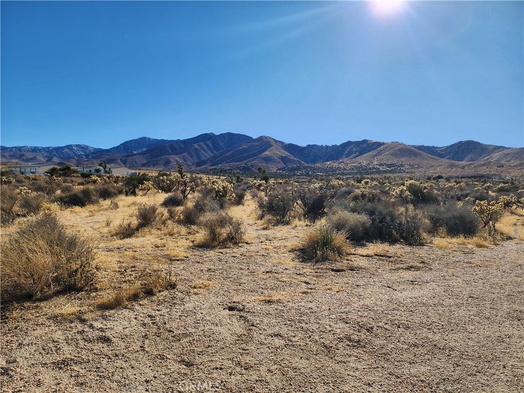 Photo of Listing #HD25010453