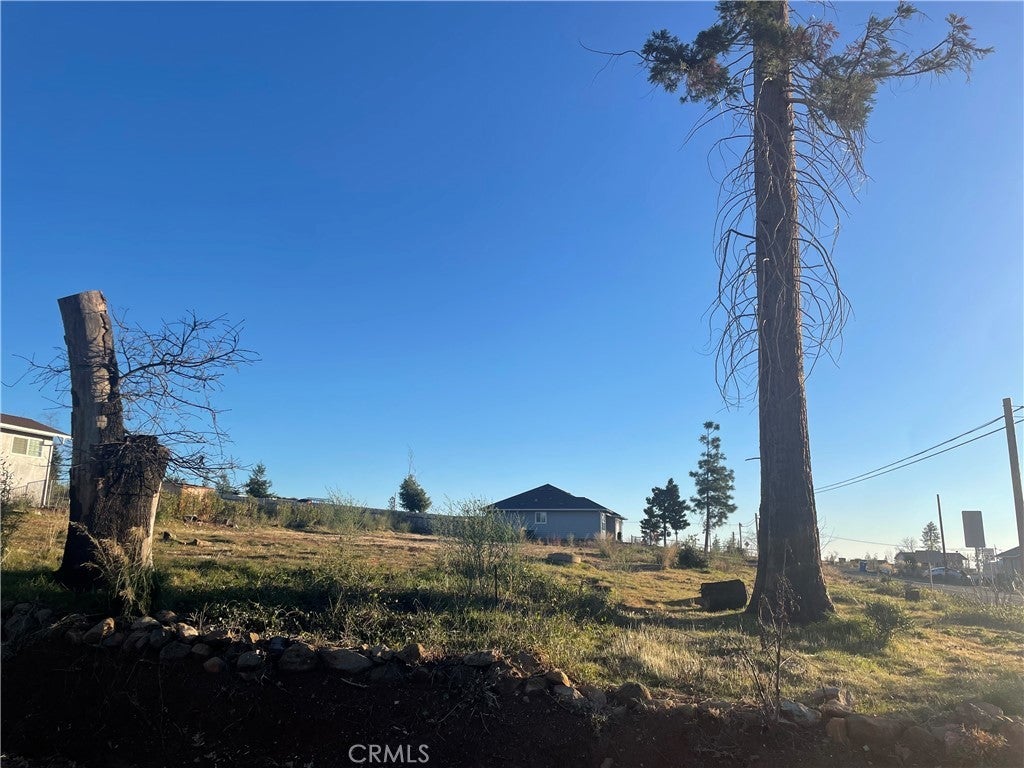 Photo of Listing #OR25011408