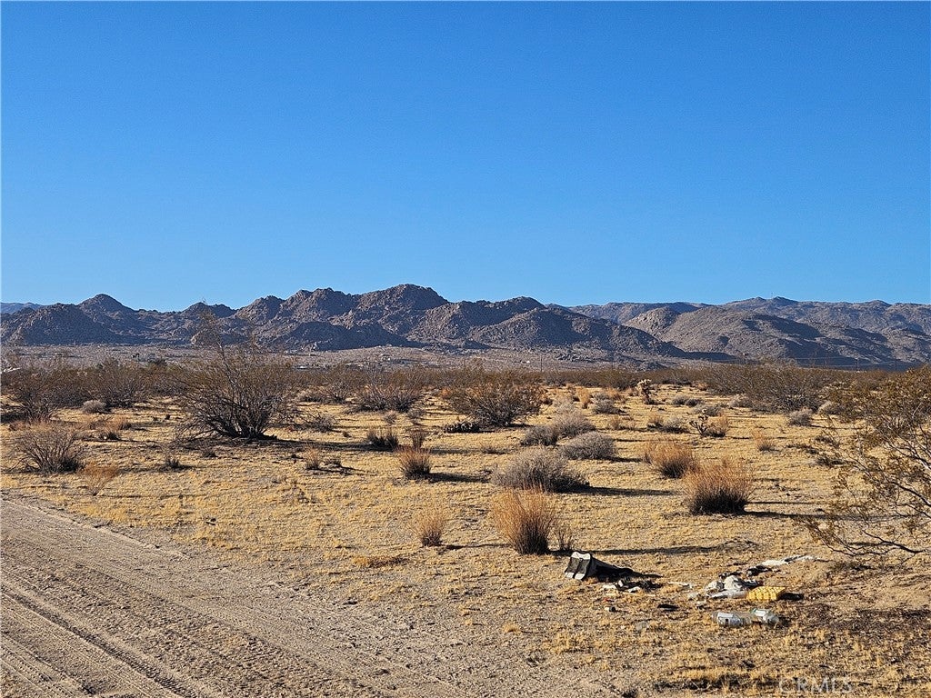 Photo of Listing #JT25012182