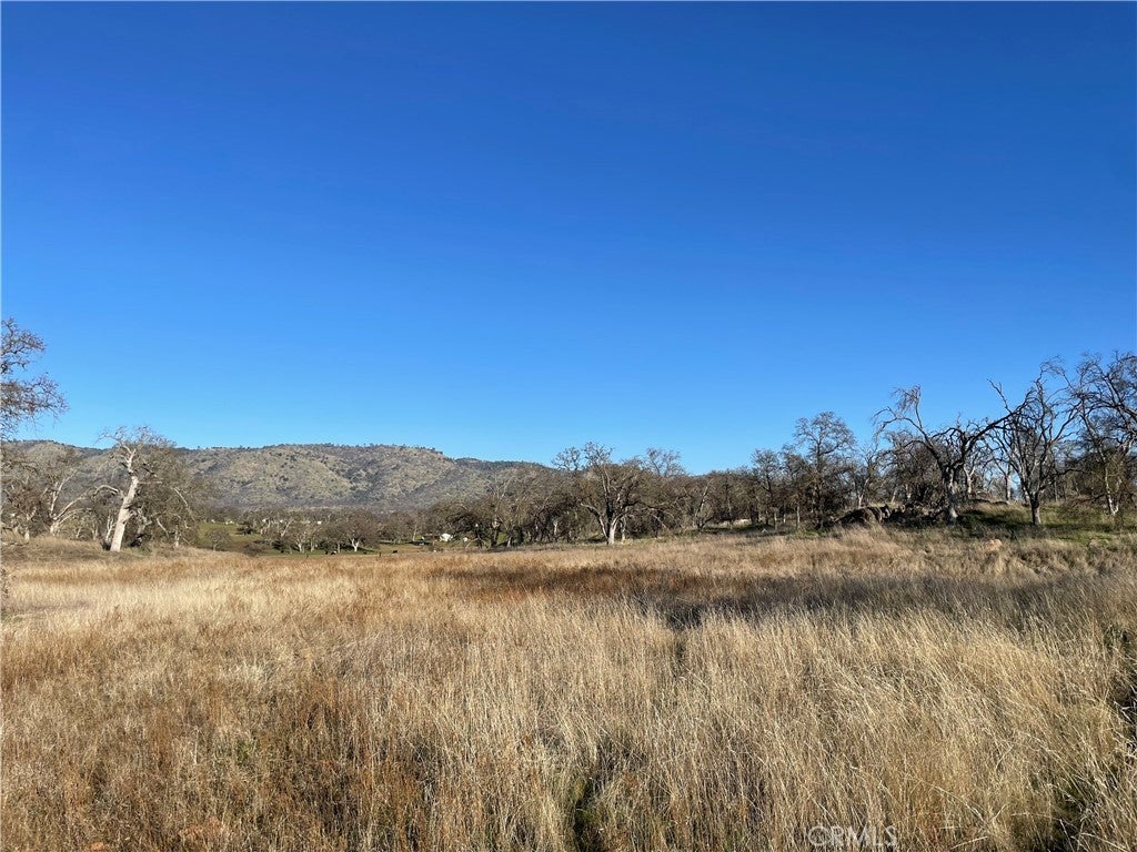 Photo of Listing #MP25012843