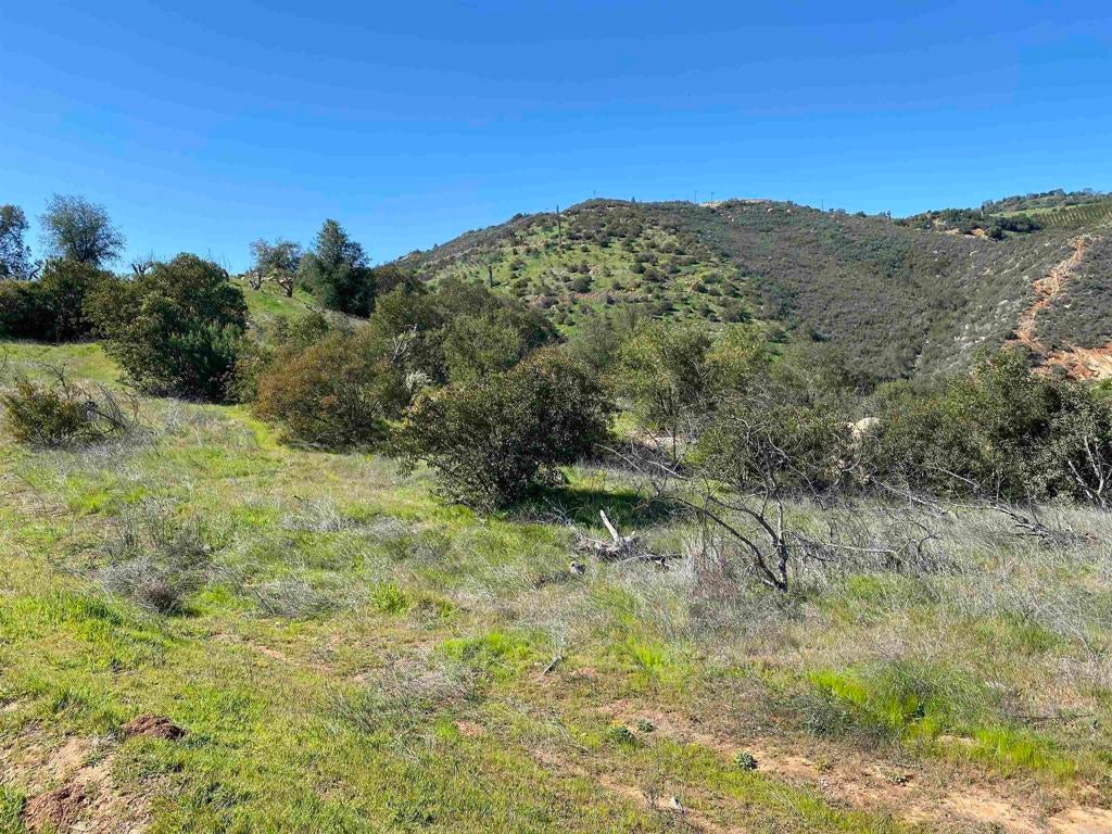 Photo of Listing #PTP2500482