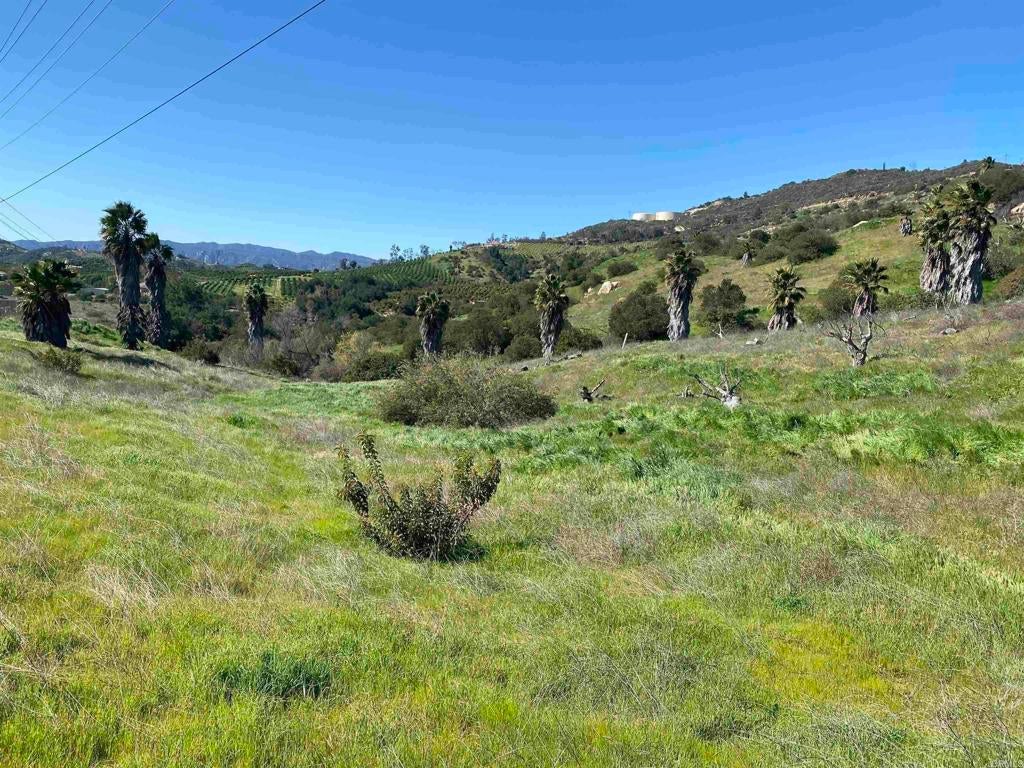 Photo of Listing #PTP2500483