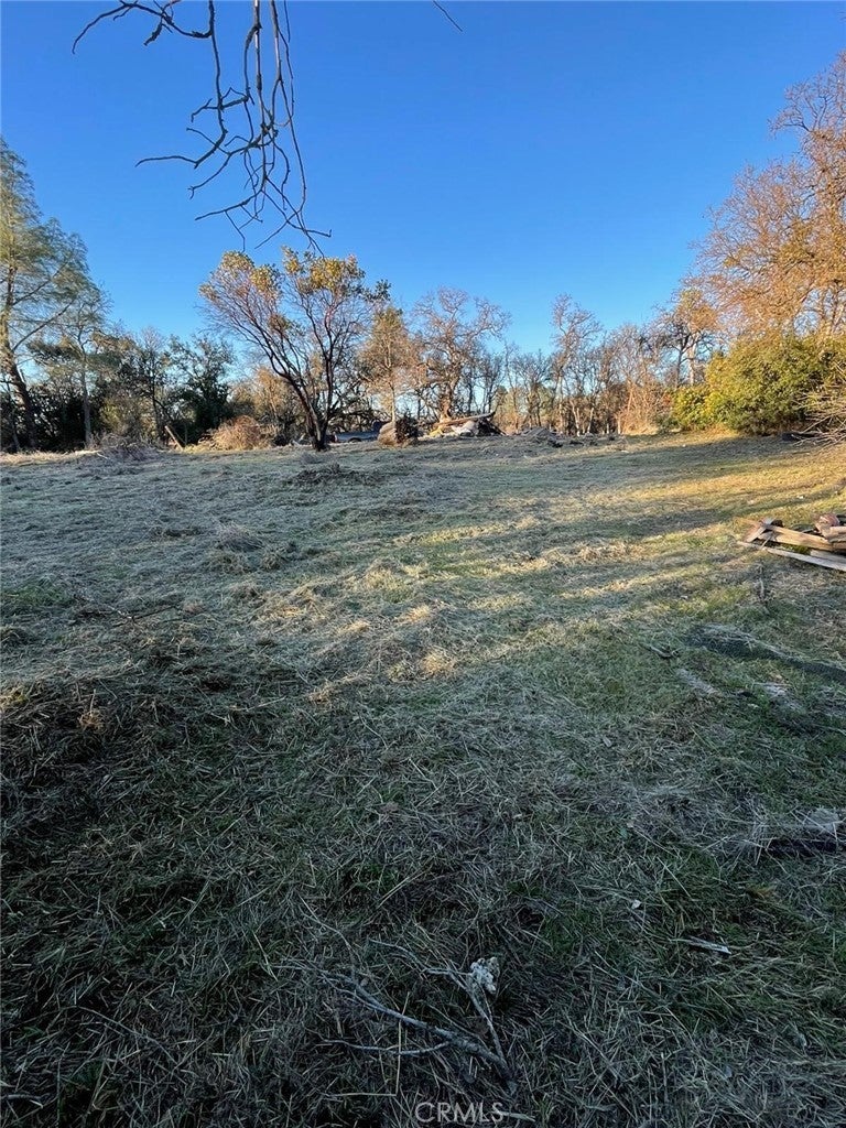 Photo of Listing #DW25013956