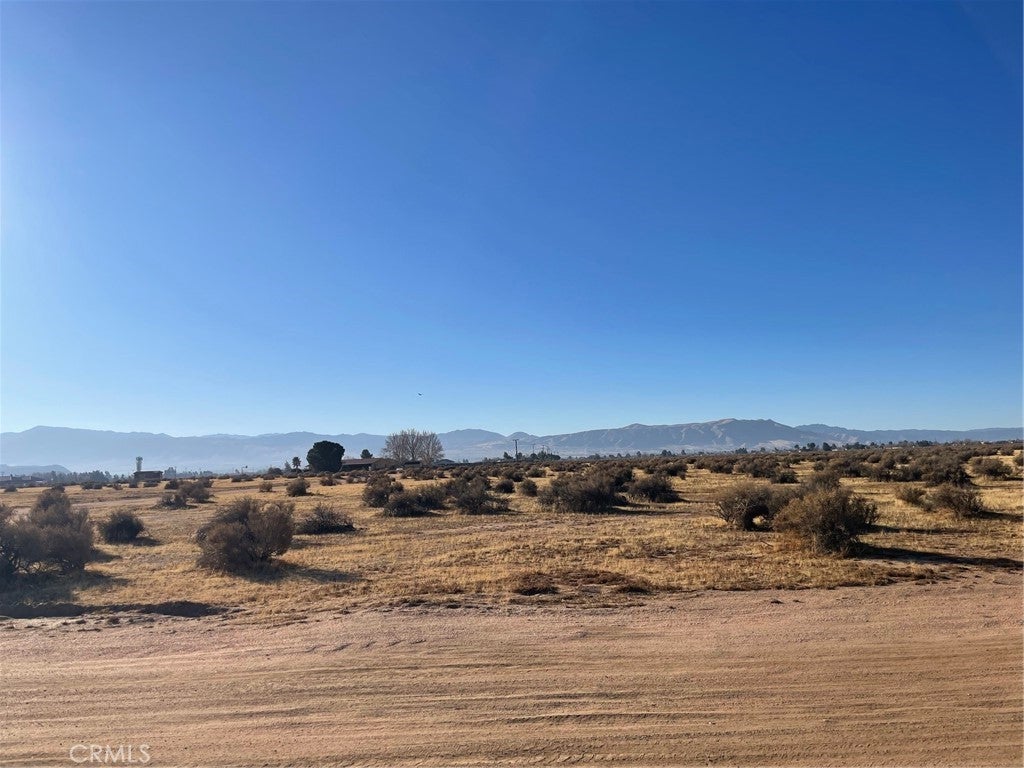 Photo of Listing #HD25011813