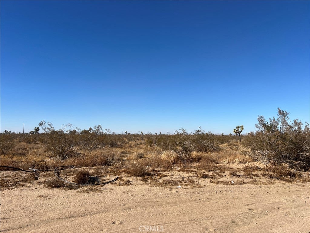 Photo of Listing #CV25015371