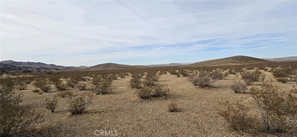 Photo of Listing #HD25019103