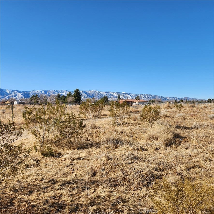 Photo of Listing #IV25021249