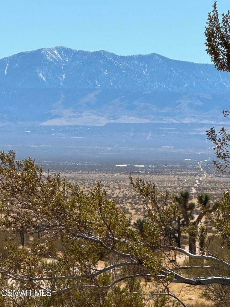 Photo of Listing #225000484