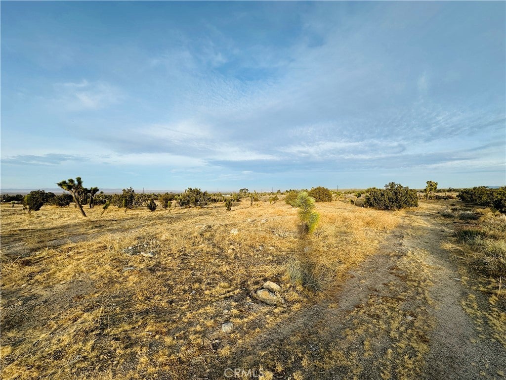 Photo of Listing #HD25022532