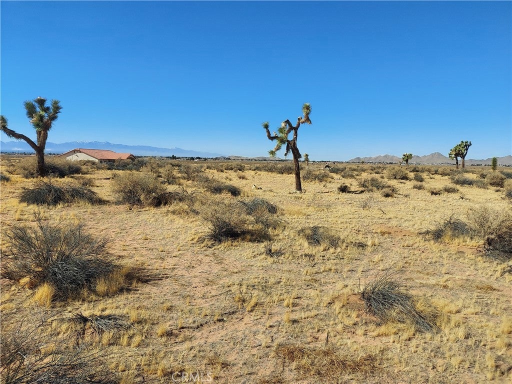 Photo of Listing #HD25023760