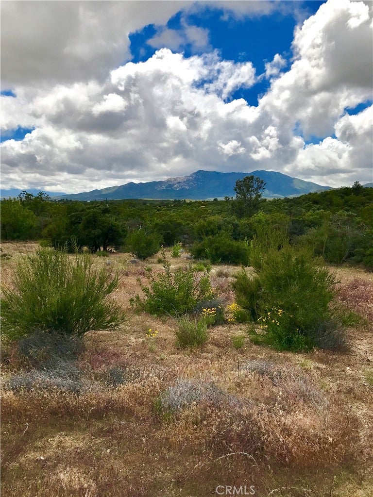 Photo of Listing #SW25024588