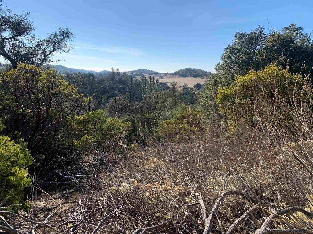 Photo of Listing #250018328SD