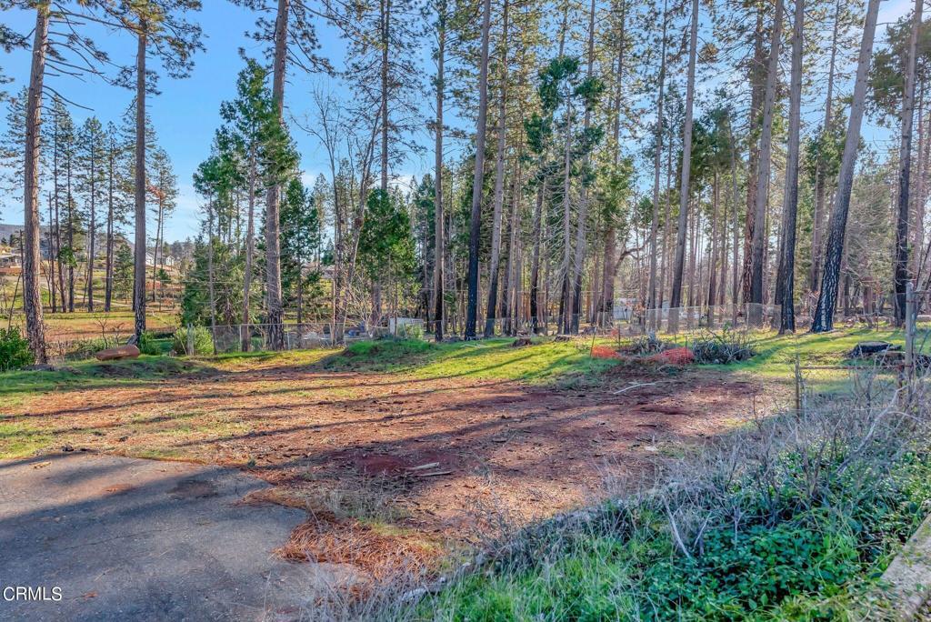 Photo of Listing #V1-28050