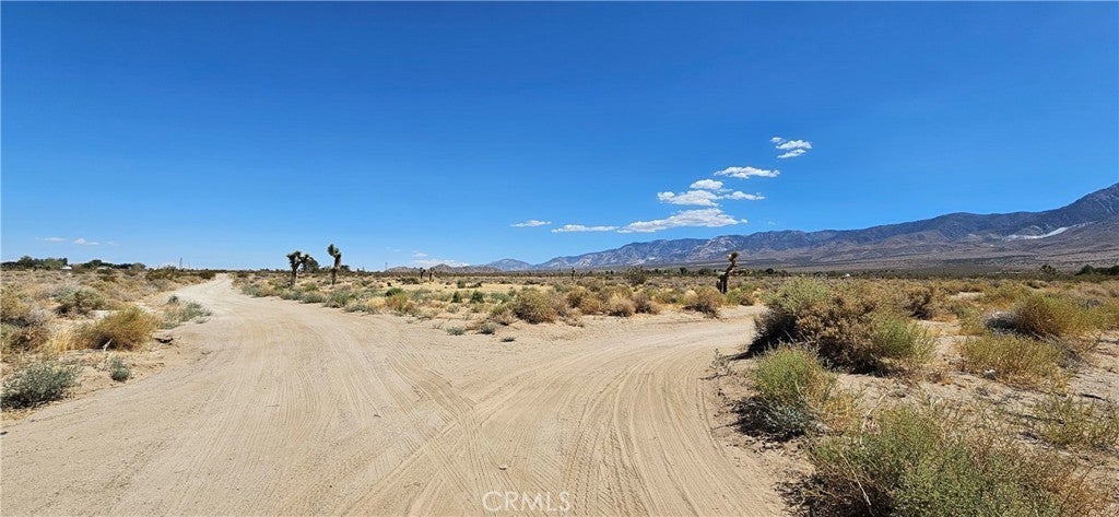 Photo of Listing #HD25030094