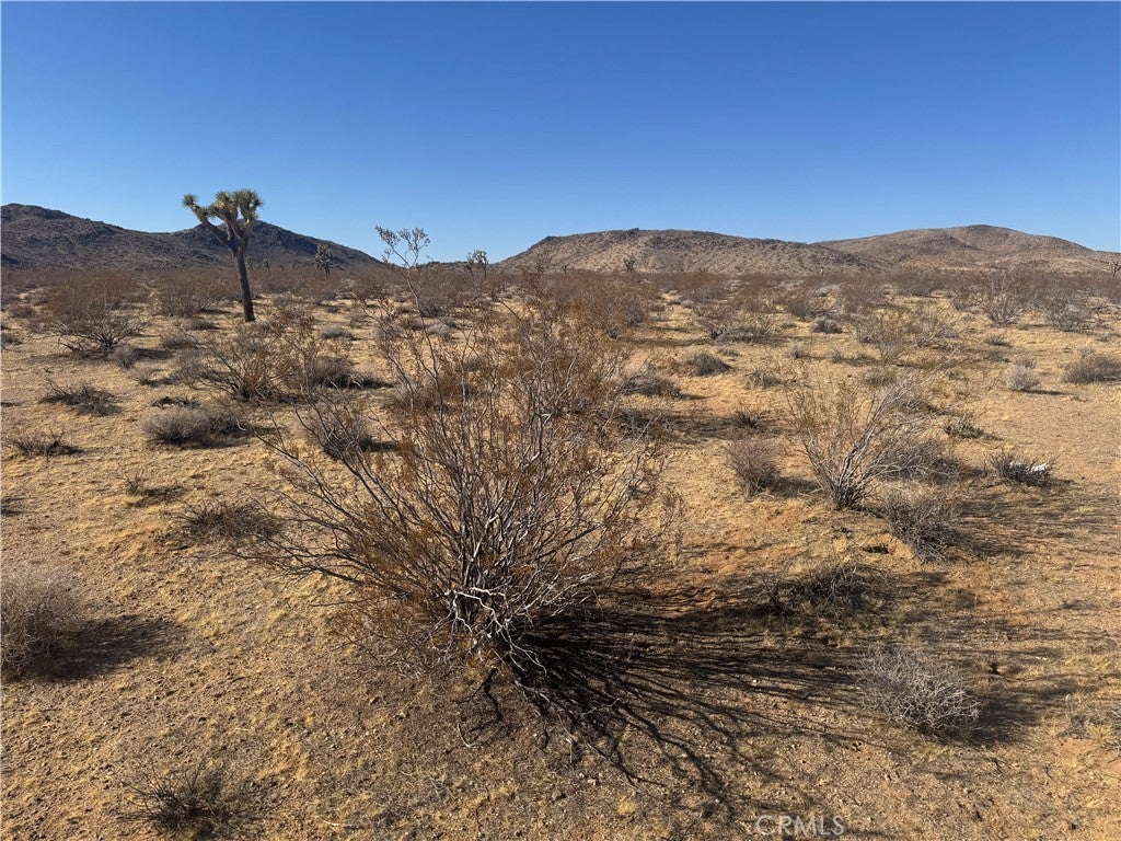 Photo of Listing #JT25031371