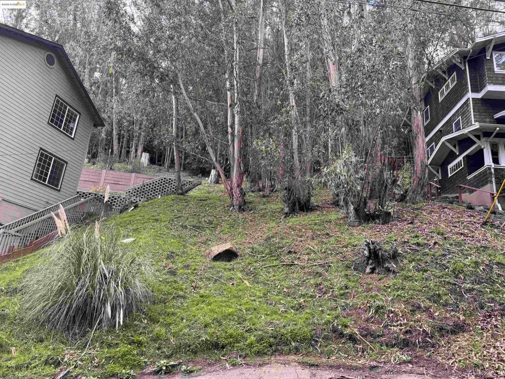 Photo of Listing #41085875