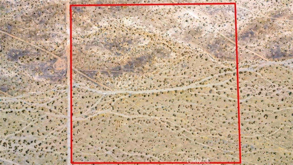 Photo of Listing #TR25032294