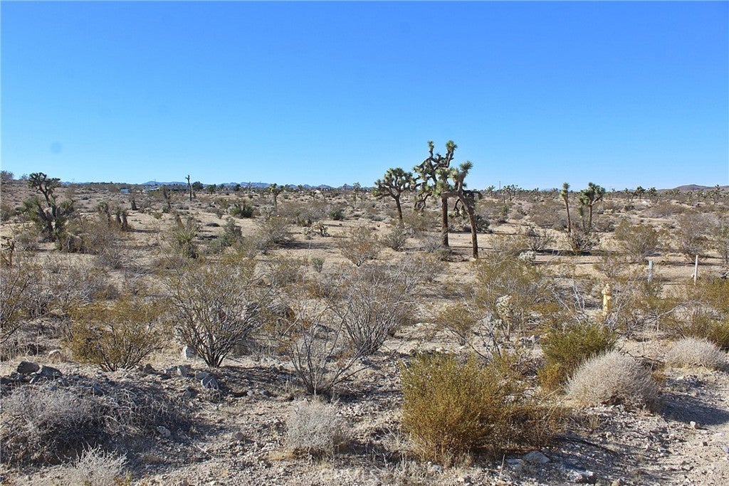 Photo of Listing #HD25041557